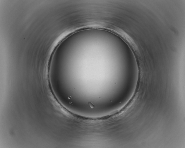X0000115811240200911131414