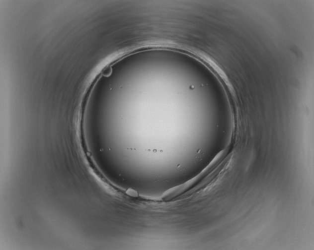 X0000115811245200911131414