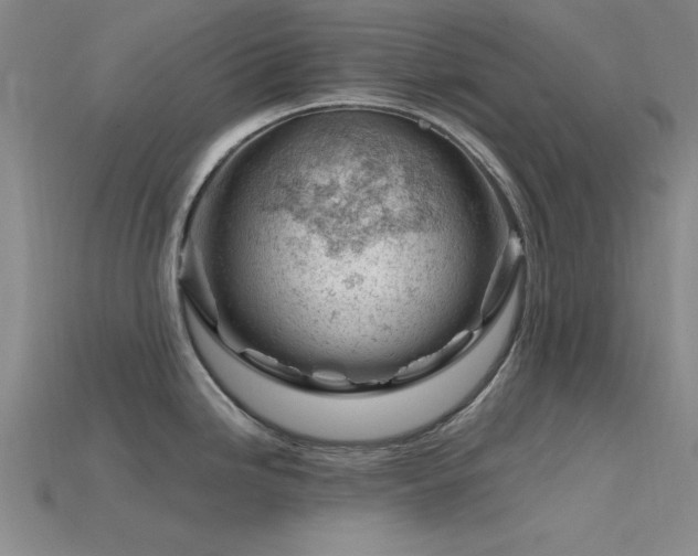 X0000115811246200911131414