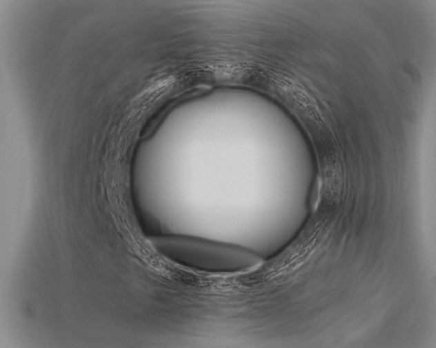 X0000115811249200911131413