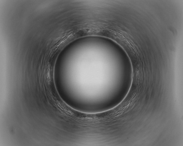 X0000115811250200911131413