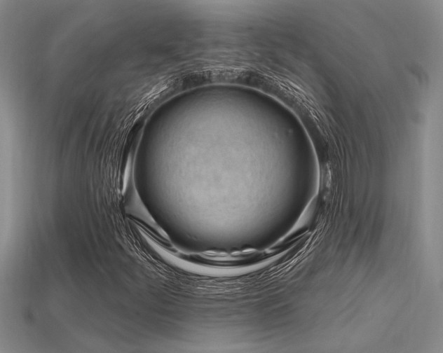X0000115811252200911131413