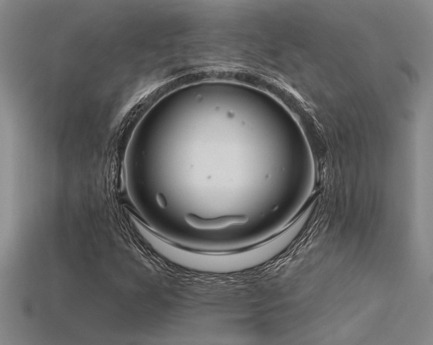 X0000115811255200911131413