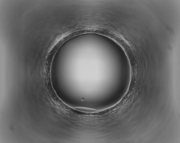 X0000115811256200911131413