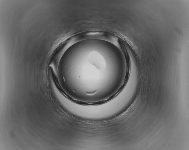 X0000115811261200911131413