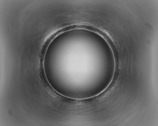 X0000115811263200911131413