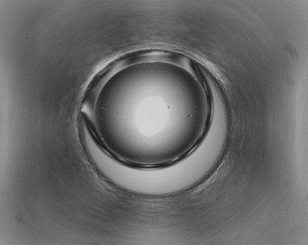 X0000115811264200911131413
