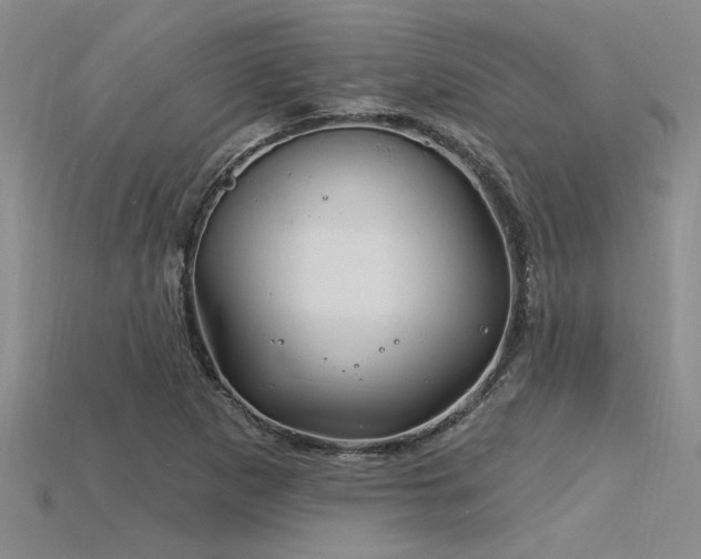 X0000115811265200911131413