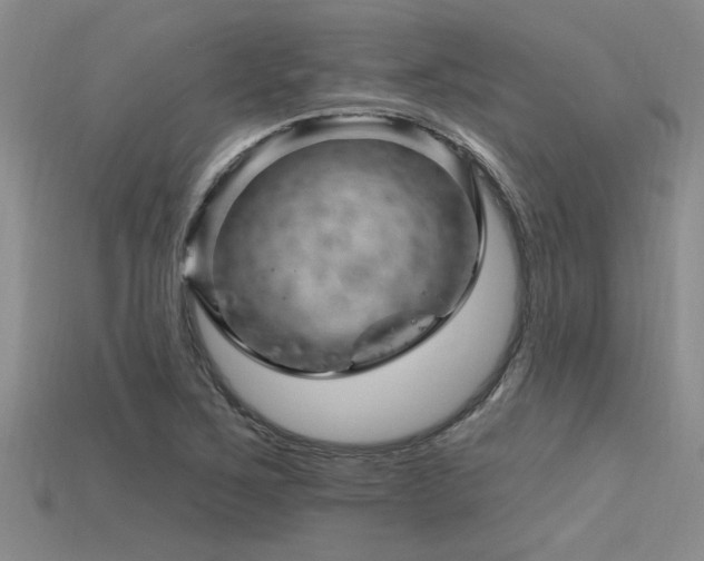 X0000115811267200911131413