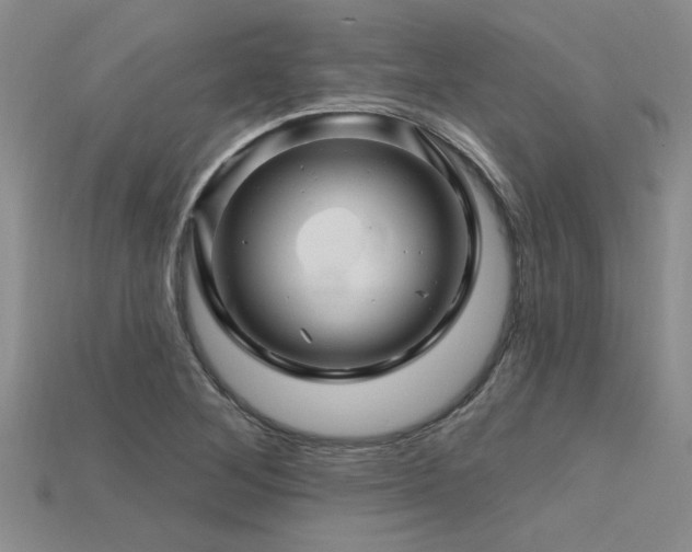 X0000115811268200911131413