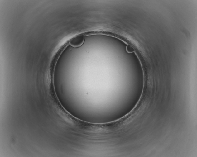 X0000115811270200911131413