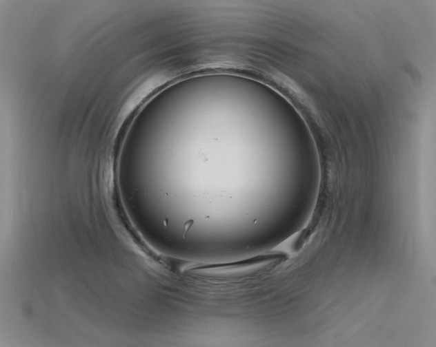 X0000115811274200911131413