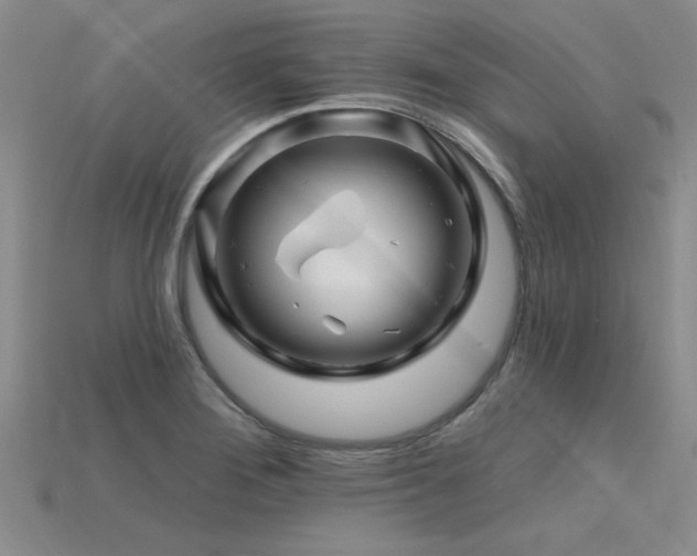 X0000115811276200911131413