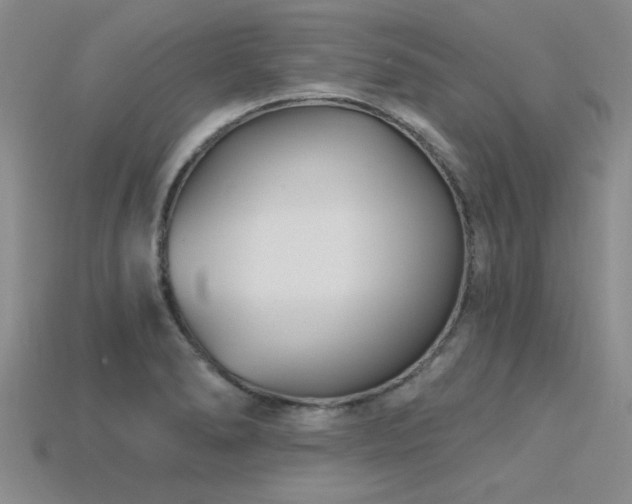 X0000115811278200911131413