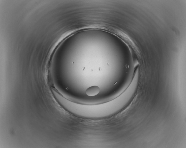 X0000115811284200911131413