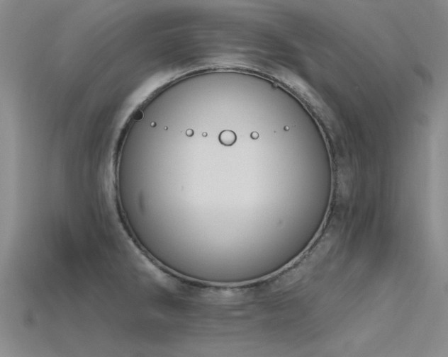 X0000115811286200911131413