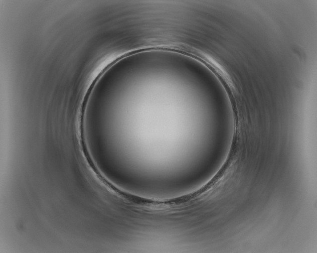 X0000115811291200911131413
