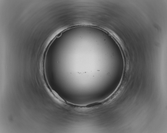 X0000115811293200911131413