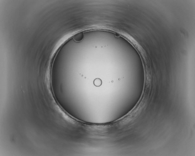 X0000115811294200911131413