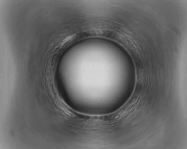 X0000115811297200911131412