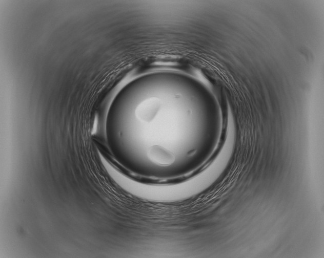 X0000115811298200911131412