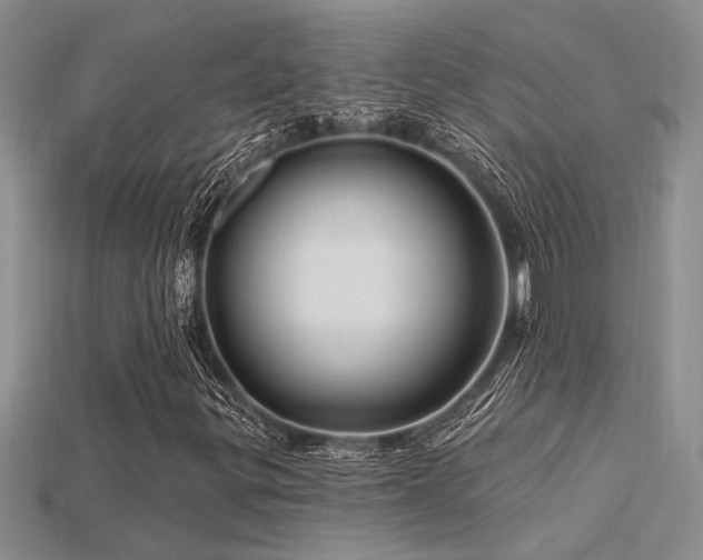 X0000115811299200911131412
