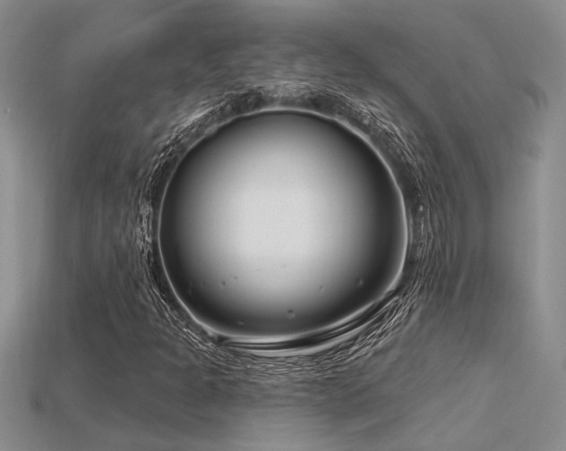 X0000115811301200911131412