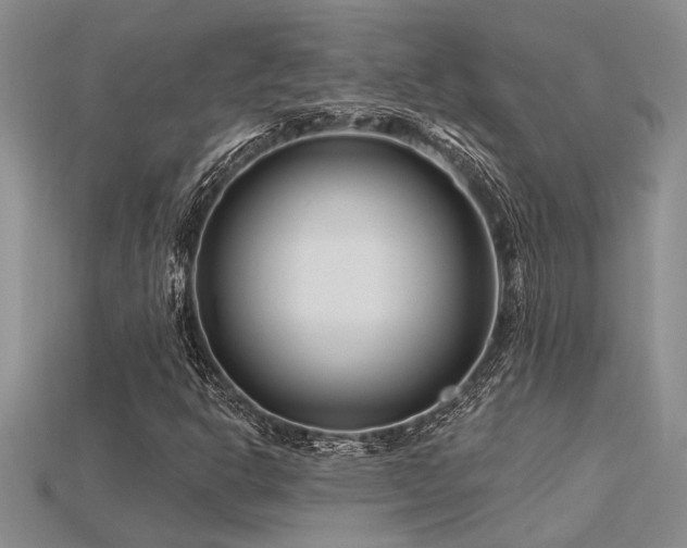 X0000115811302200911131412