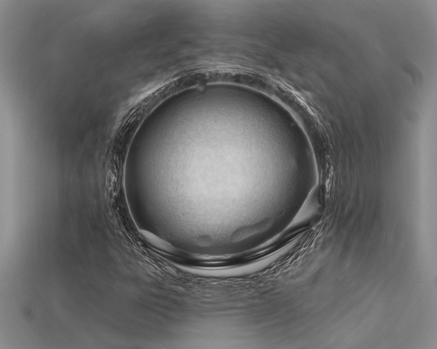 X0000115811303200911131412