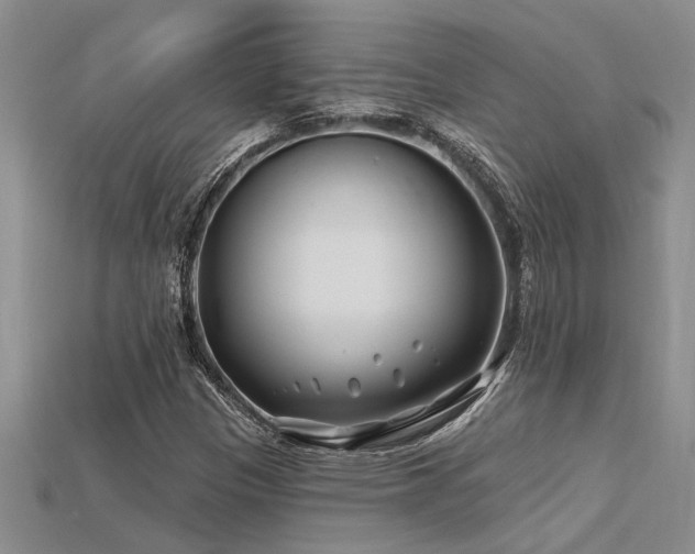 X0000115811305200911131412