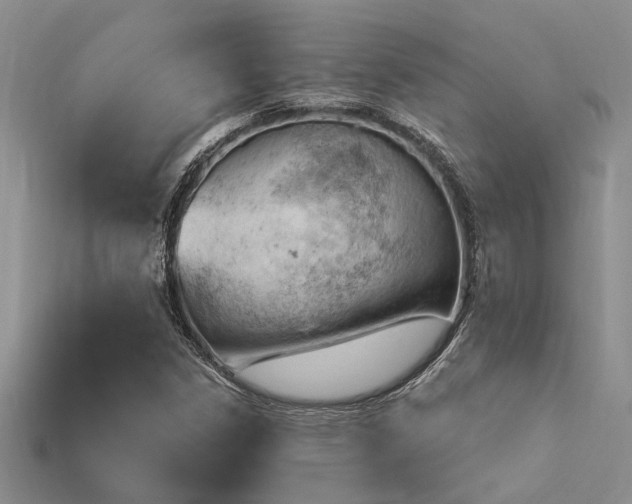 X0000115811306200911131412