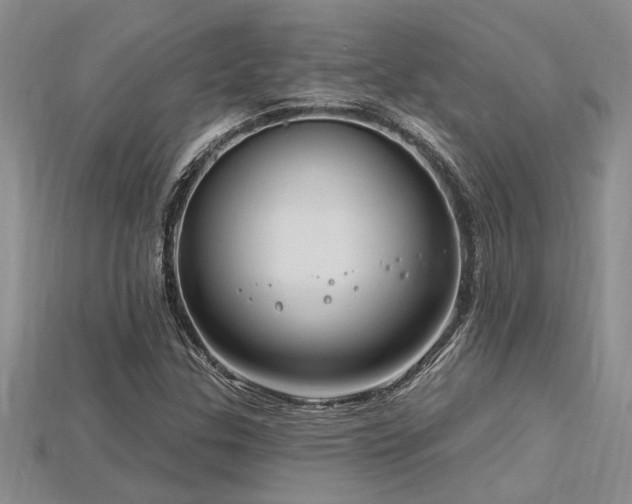 X0000115811307200911131412