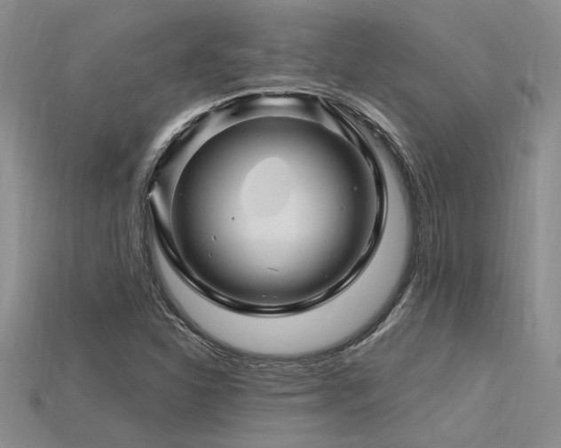X0000115811310200911131412