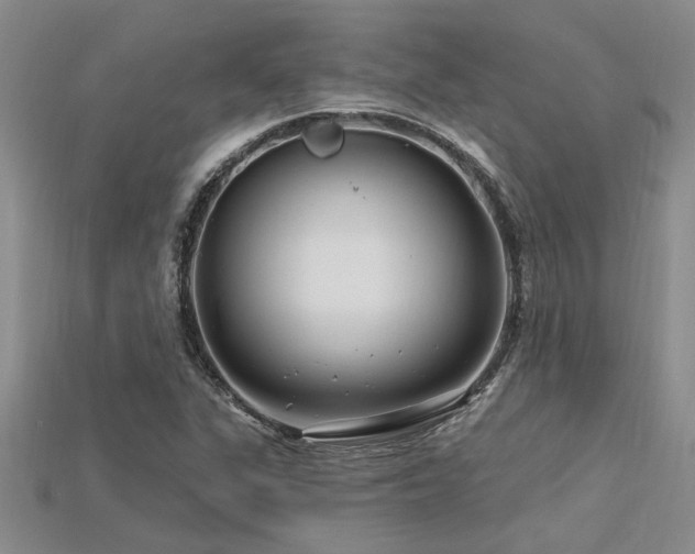 X0000115811311200911131412