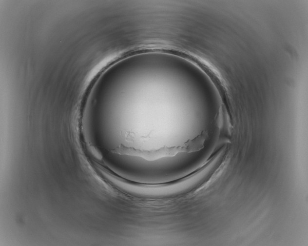 X0000115811325200911131412