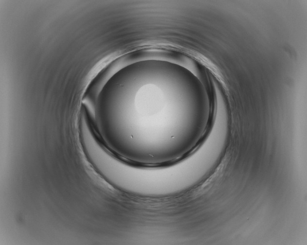X0000115811330200911131413