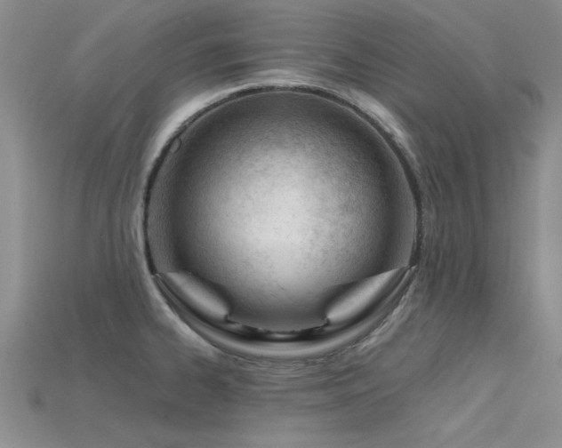 X0000115811334200911131413