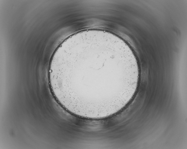 X0000115811338200911131413