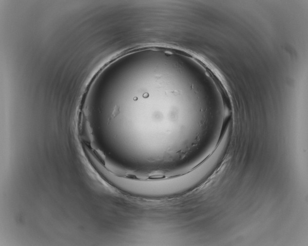 X0000115811341200911131413