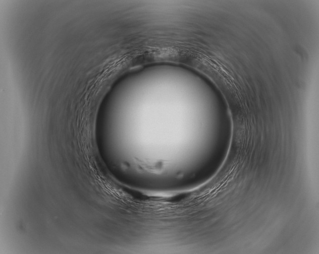 X0000115811345200911131412