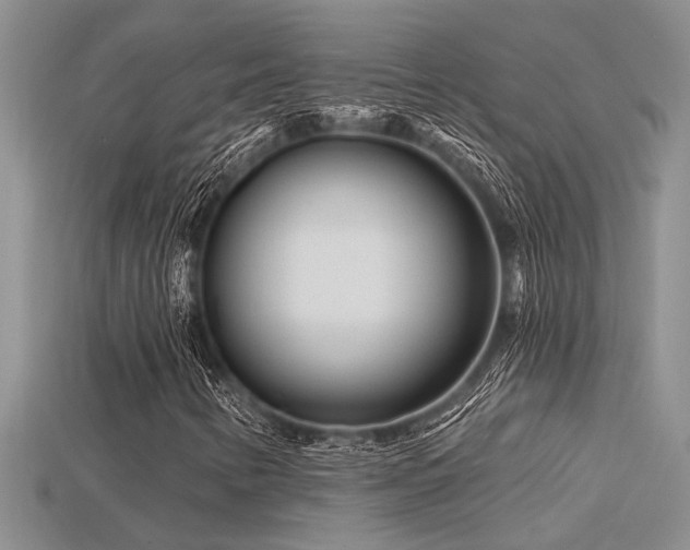 X0000115811346200911131412