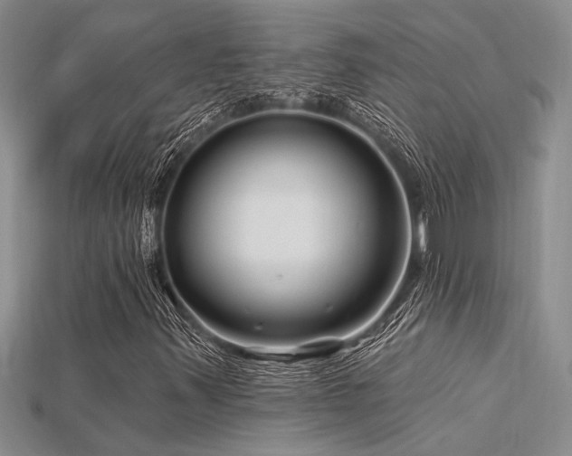X0000115811347200911131412
