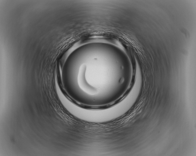X0000115811348200911131412