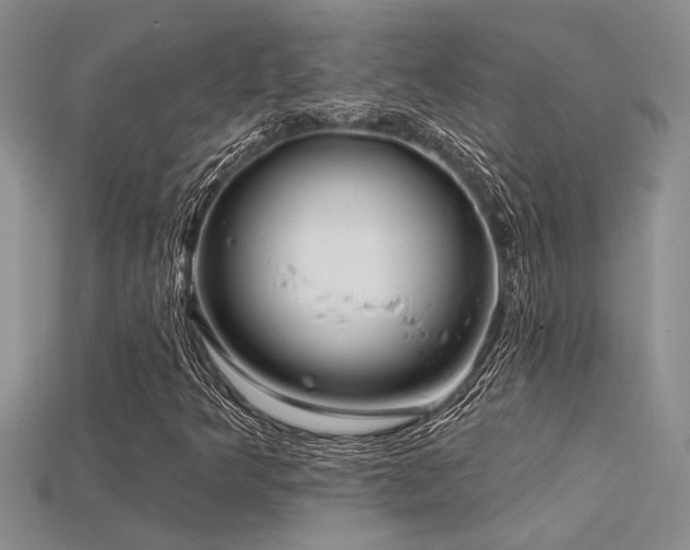 X0000115811349200911131412