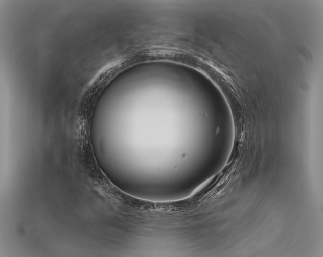 X0000115811351200911131412
