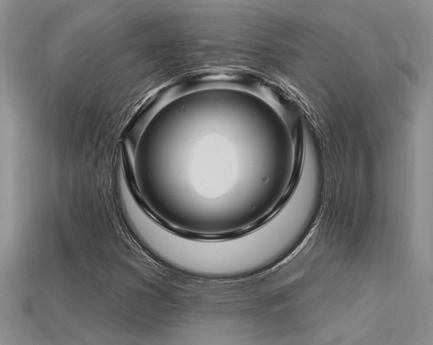 X0000115811353200911131412