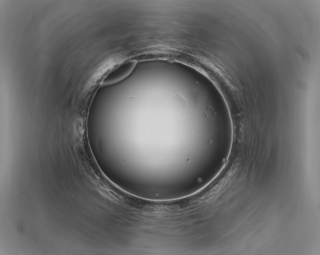 X0000115811355200911131412