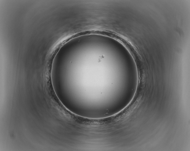 X0000115811359200911131412