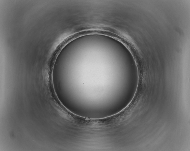X0000115811360200911131412
