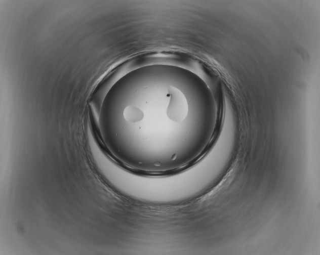 X0000115811361200911131412